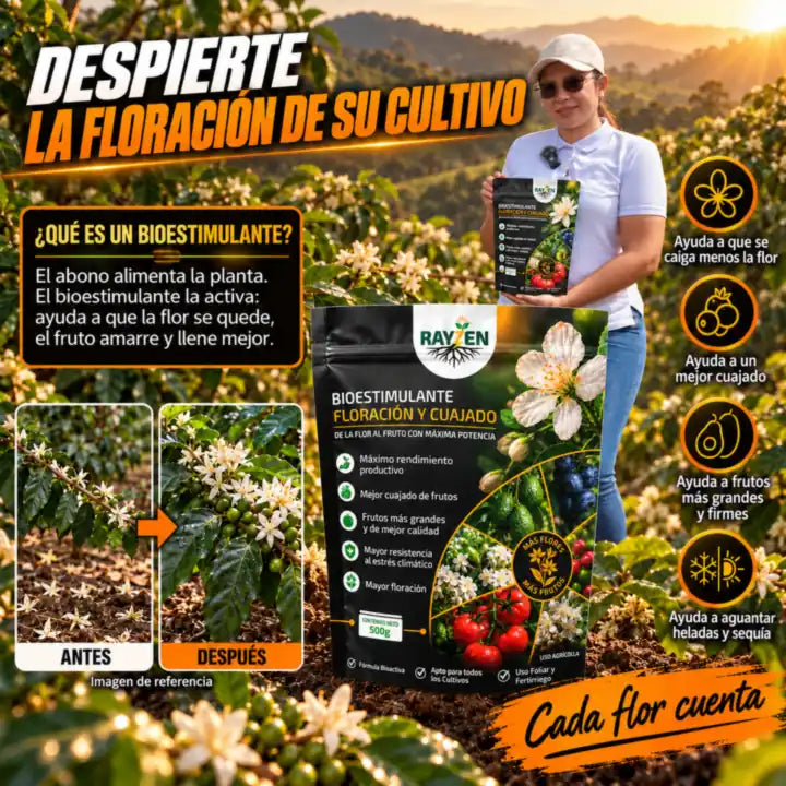 Rayzen Floración y Cuajado: despierte la floración, con un antes y después de referencia (imagen de referencia)
