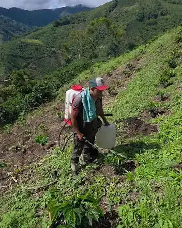 Agricultor en una ladera seca durante el verano