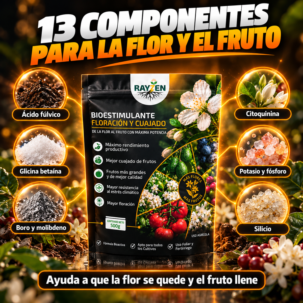 Floración y Cuajado  2