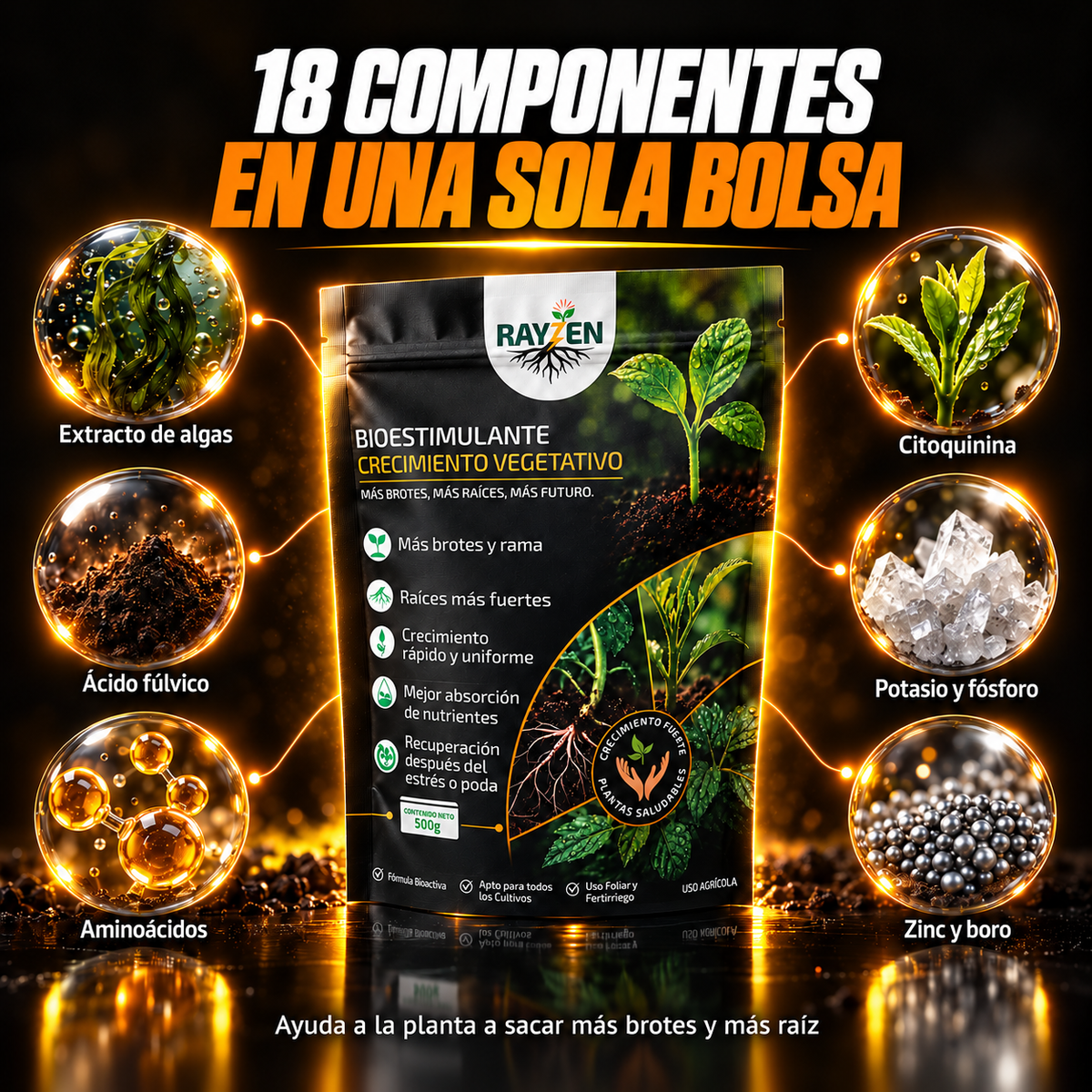 Crecimiento Vegetativo 2